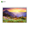 10.1 pulgadas de pantalla TFT al aire libre 1280*800 IPS LCD para aplicaciones industriales